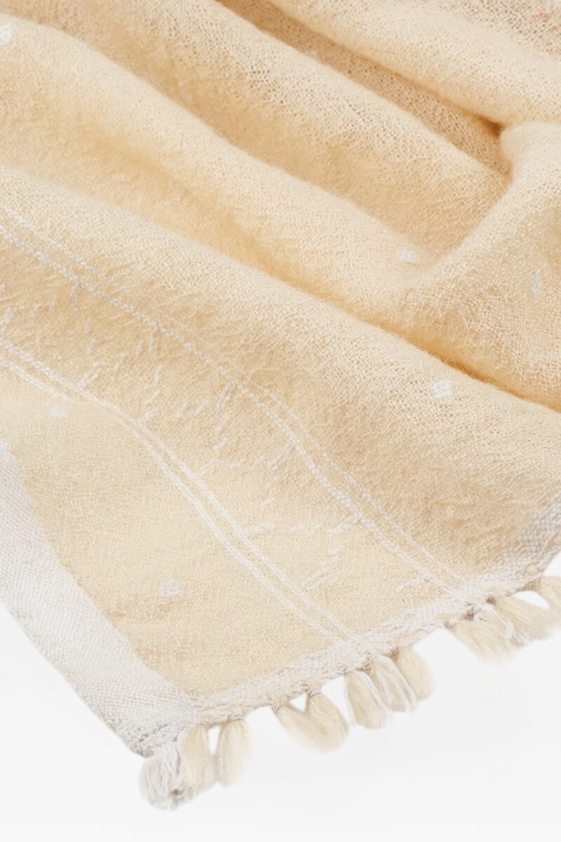 Motif-Bordered Hand-Woven Ehram