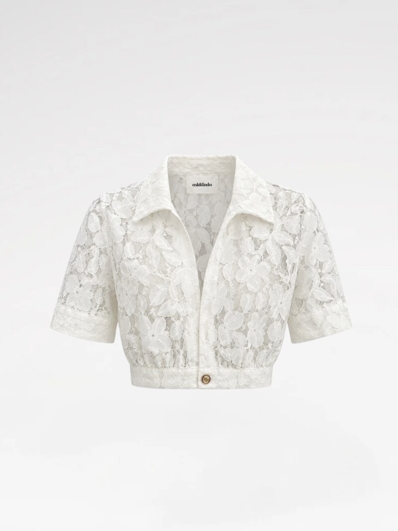 V-Neck Lace Cropped Shirt