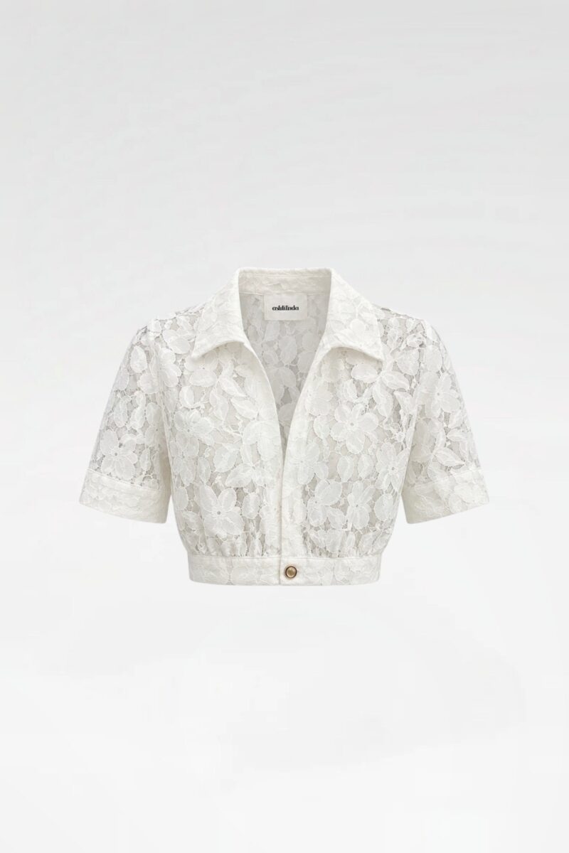 V-Neck Lace Cropped Shirt