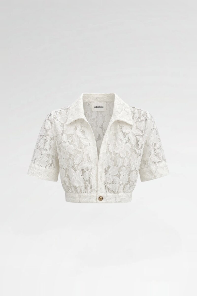 V-Neck Lace Cropped Shirt